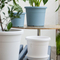 Plastic Plant Pot Saucers