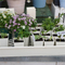 Seedling Pot Holder Tray