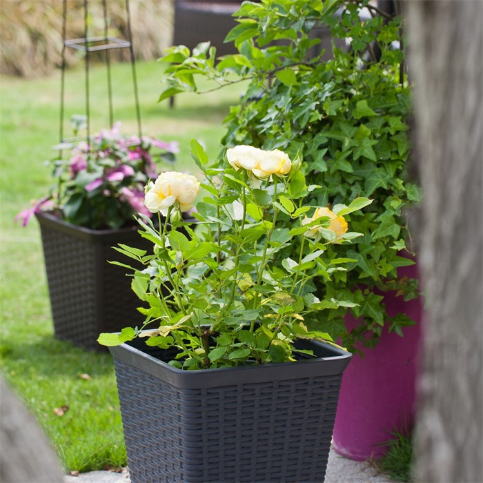 wicker flower planter07