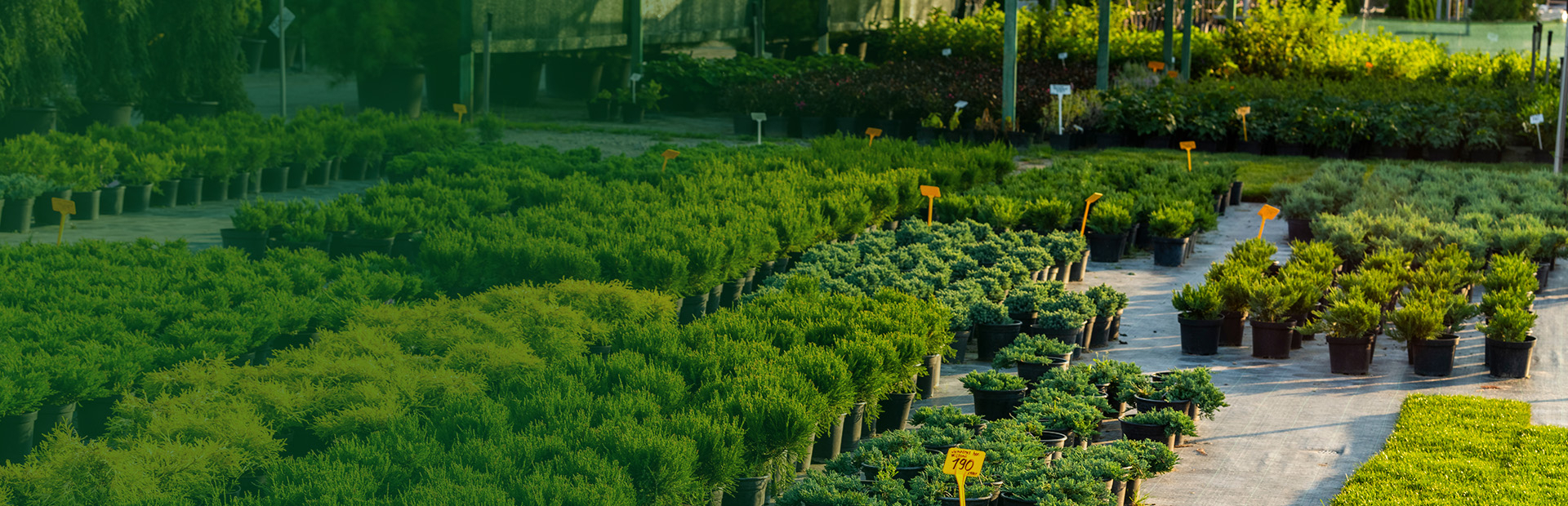 Nursery Growers