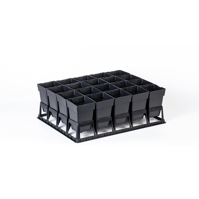 Clematis Plant Pot