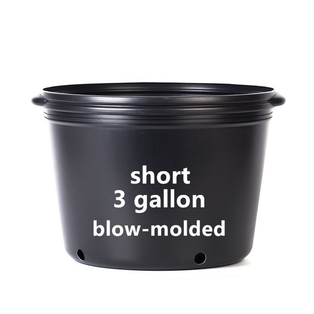 3 Gallon Short Nursery Pot For Sale