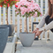 9 Smooth Shiny Finish Planters