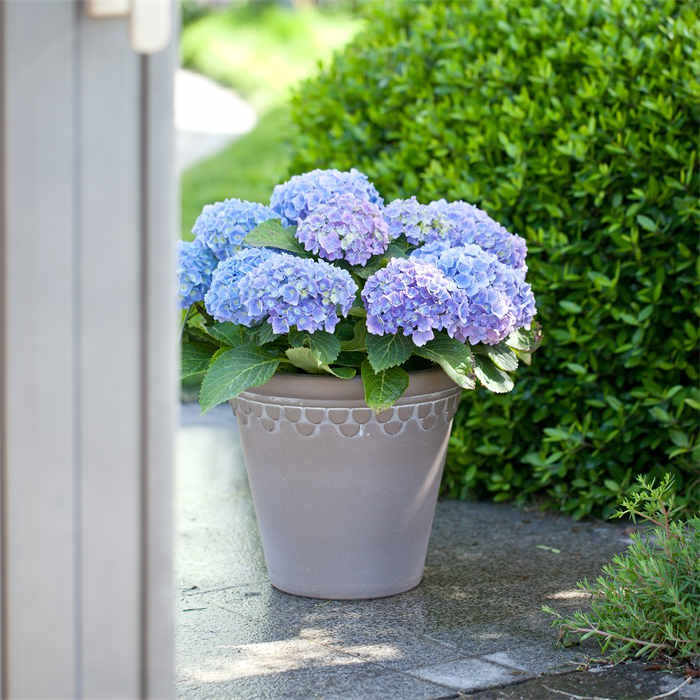 Ceramic Flower Pot06