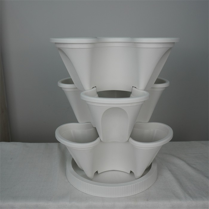 Strawberry Planting Pot07
