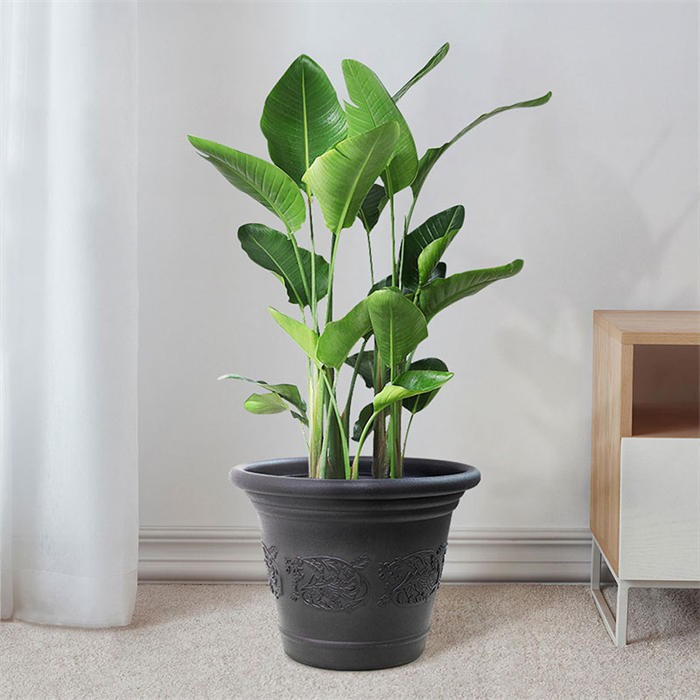 Large-caliber plastic flower pot06