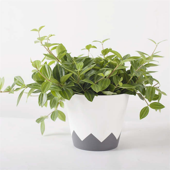 Injection Molded Geometric Planter08