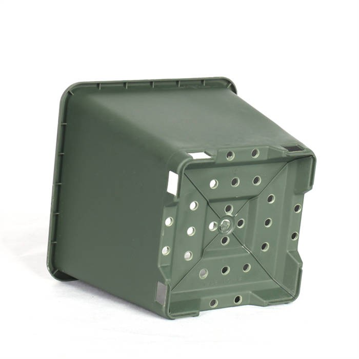 6 Square Blueberry Planter05