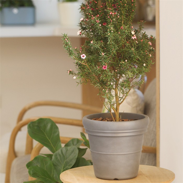 Plant Pots Planter
