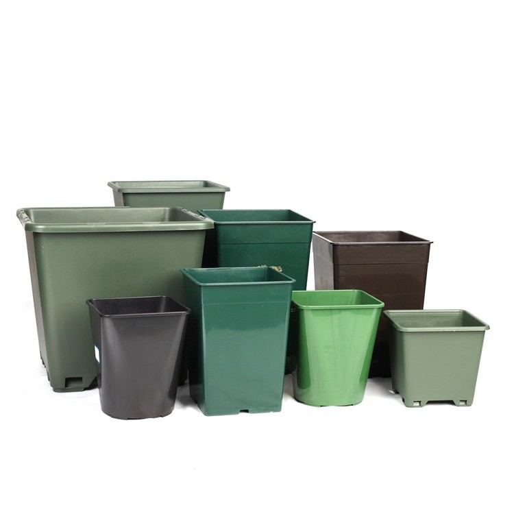 Durable Square Blueberry Pot