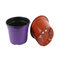 Thermoform Pot