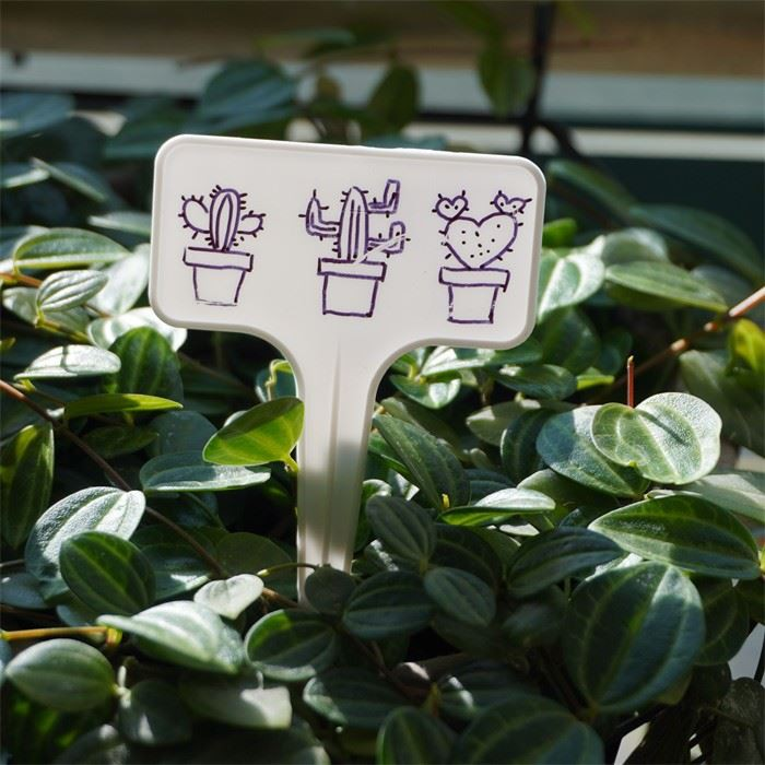 Plastic Plant Label