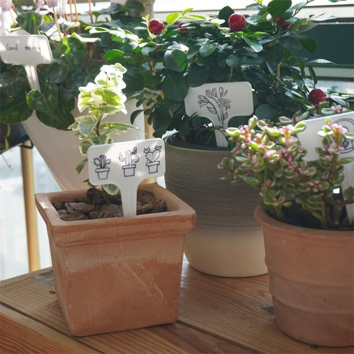 Plant Markers
