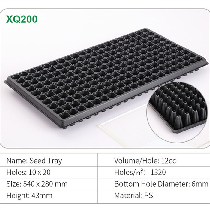 Seedling Tray 6 Cell