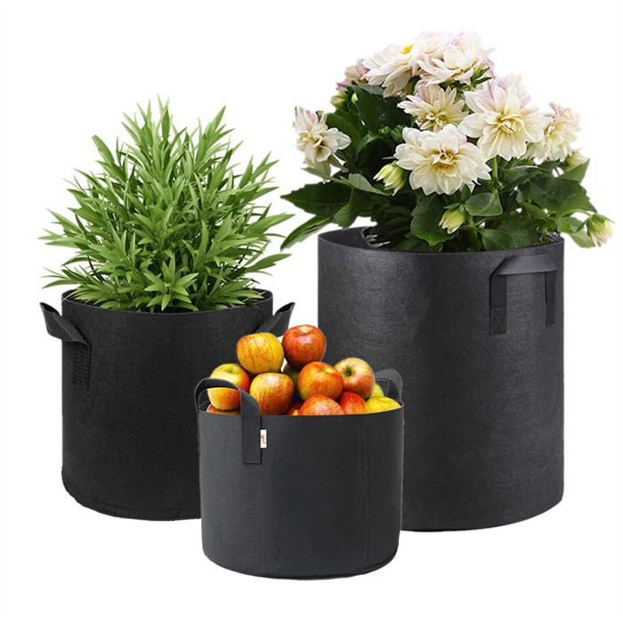 20 Gallon Grow Bag