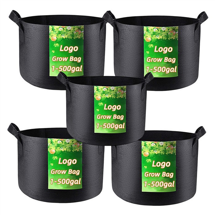 product-700-700