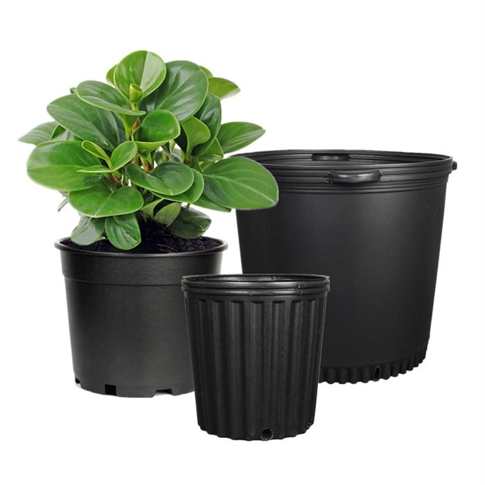 Small Wholesale Nursery Pot
