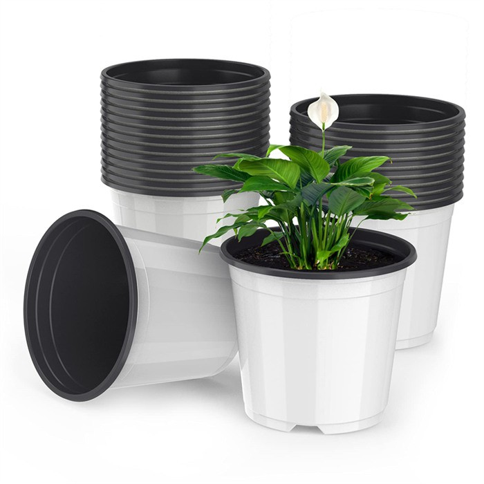 product-700-700