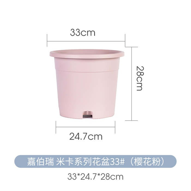 Cactus Plant Pot