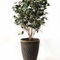 15 Plastic Flower Pot