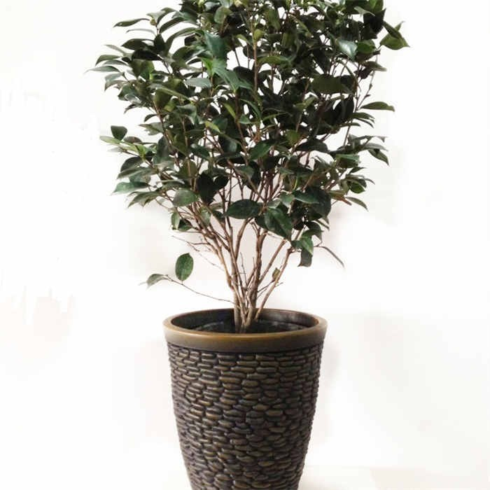 15 Plastic Flower Pot