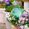 Water Globes For Plants