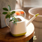 Garden Plastic Watering Can