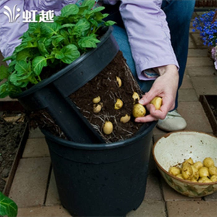 Potato Nursery Pot05