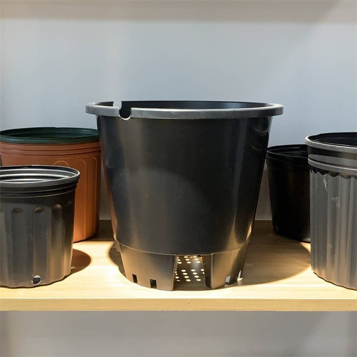 30L Blueberry Pot