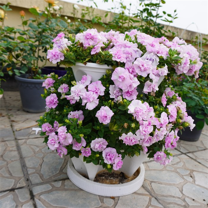 stackable planter08
