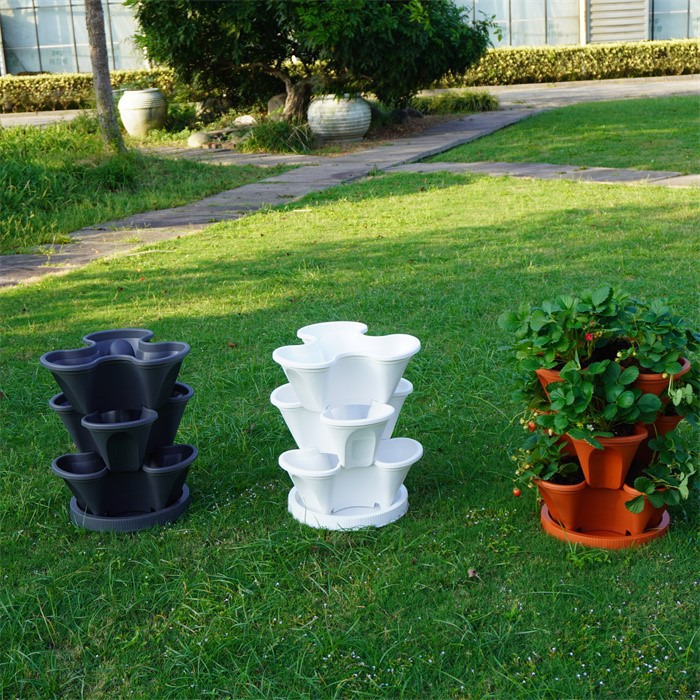 Strawberry Growing Tower07