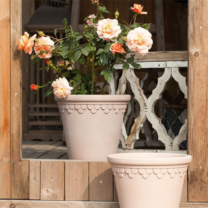 20 Cm Planter