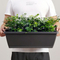 Long Planter For Herbs