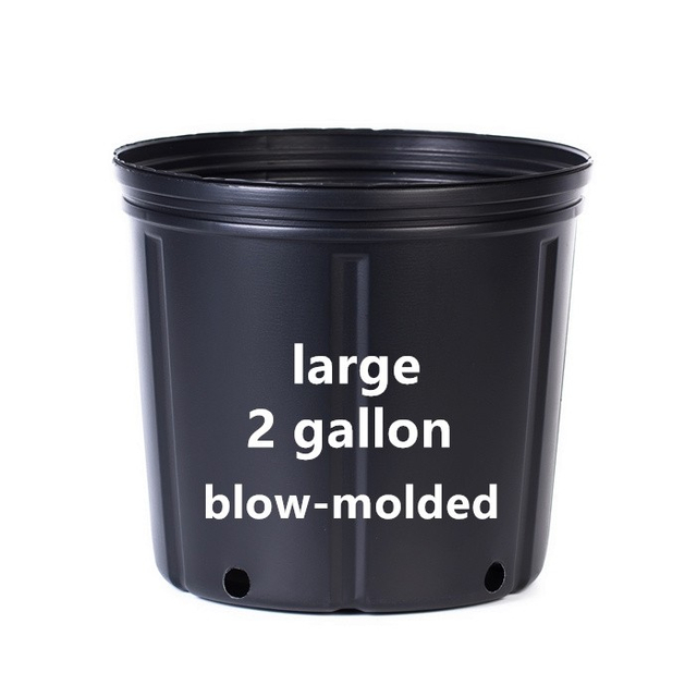 2 Gallon Planter Bucket