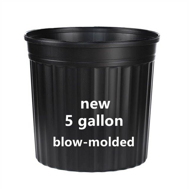 5 Gallon Nursery Pot For Sale