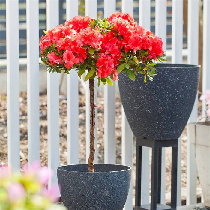 9 Smooth Shiny Finish Planters