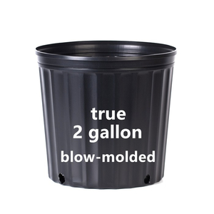 2 Gallon Pot