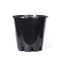 Nursery Planter For Blueberry