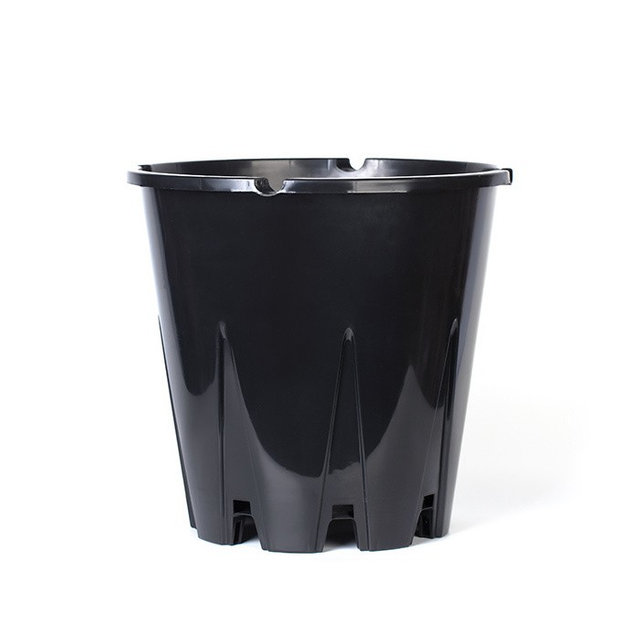 Nursery Planter For Blueberry
