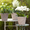 Plastic Planter