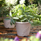 10" Plastic Plant Pot