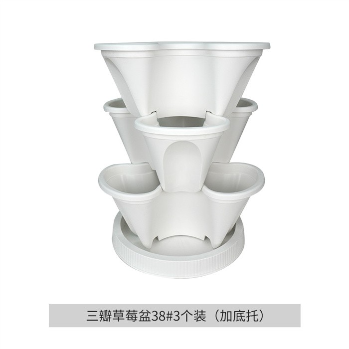 Strawberry Planting Pot04