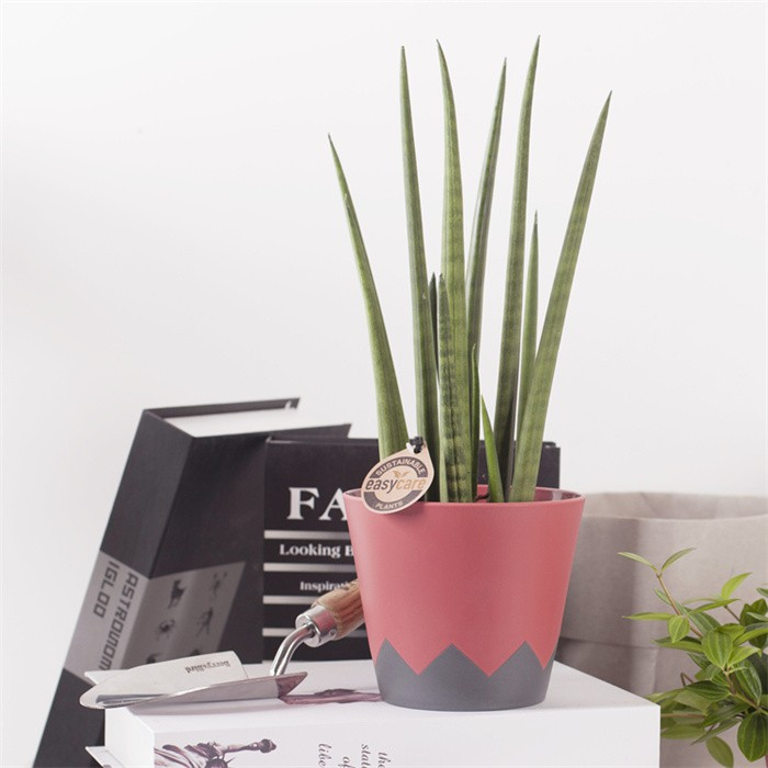 Plastic Geometric Flowerpot06