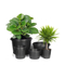 2 Gallon Nursery Planter