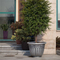 24" Carved Color Wash Planter