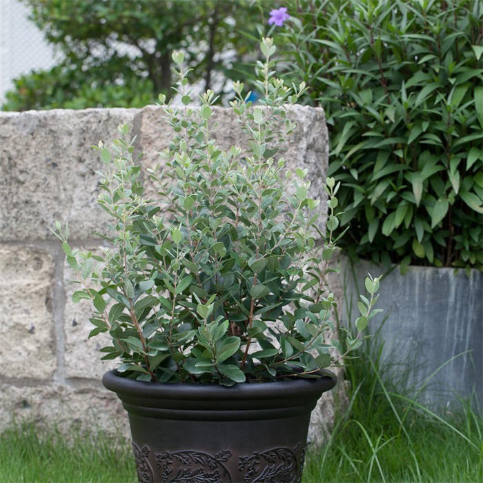 Stone-like pattern plastic pot06