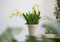 Frosted Pots Indoor Decor