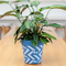 Frosted Pot Indoor Plant Holder