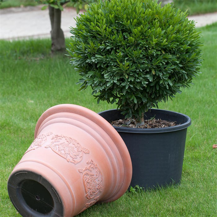 Home gardening decoration pot07