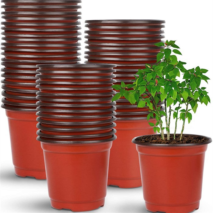Blister round Pot06